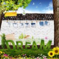 Graphic : Source - Spring Dreams