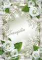 Graphic : Frame floral for photo - a White roses